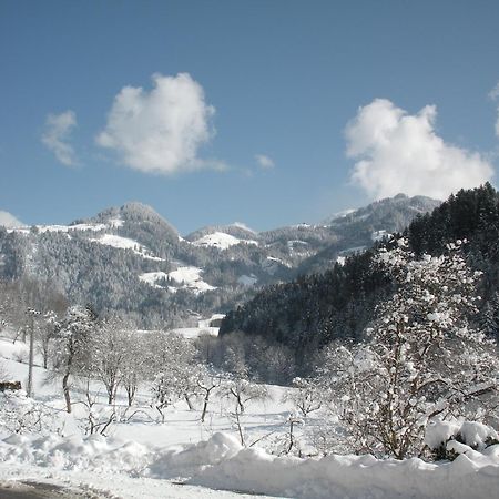 Stegerbauer Villa เคียร์ชบิเคิล ภายนอก รูปภาพ